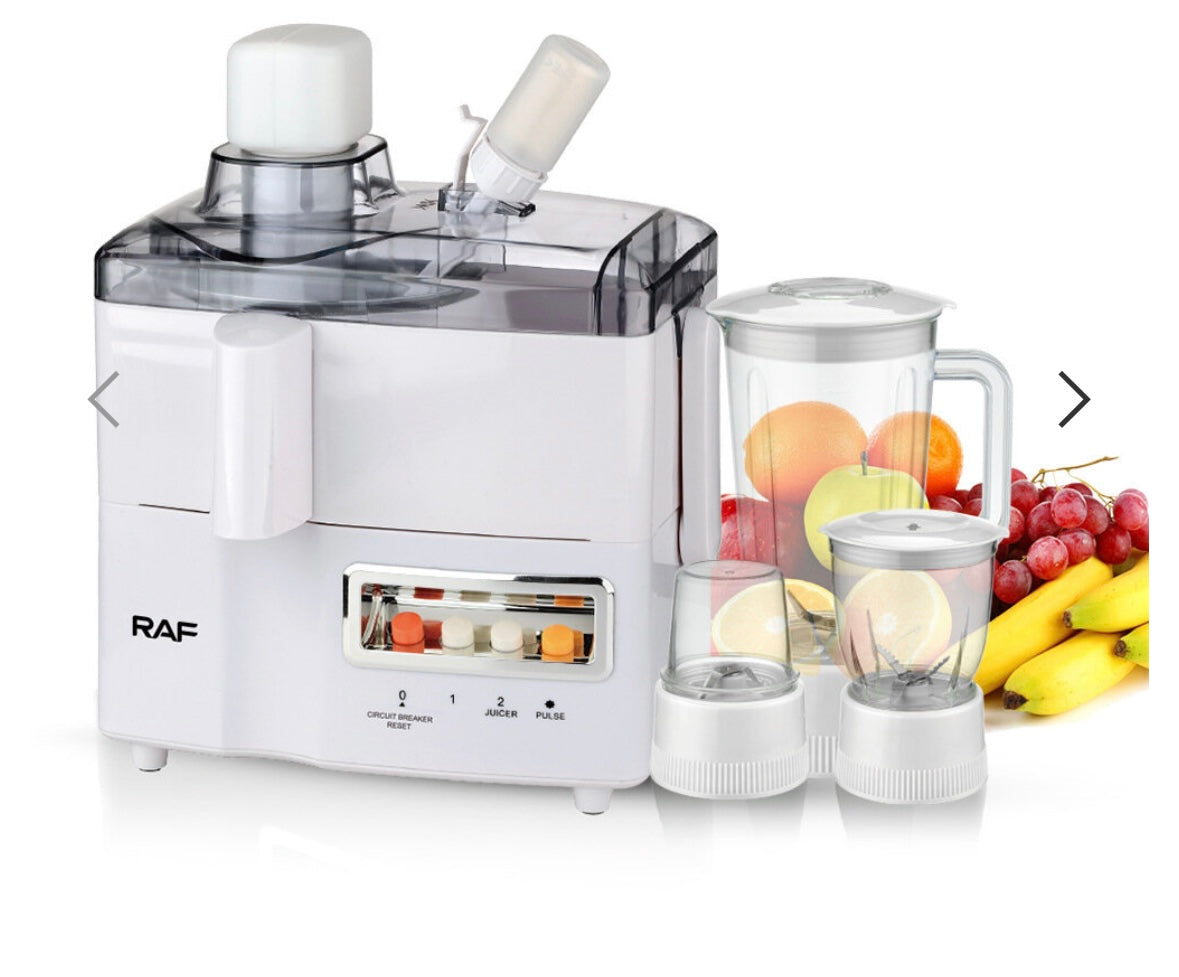 4 in 1 Food Processor